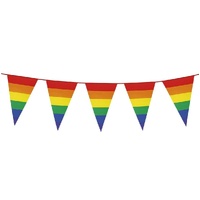 3.6m RAINBOW BUNTING FLAG Party Banner Birthday Triangle Flags Decor Pride