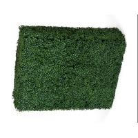 Portable Boxwood Hedge UV Stabilised 75cm High 100cm Long
