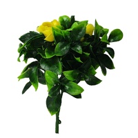 Yellow Rose