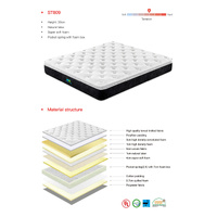 Queen Size 30cm Tencel Latex Soft Pocket Spring Mattress