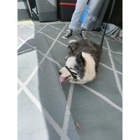 Diamond 4m x 2.4m recycled poly mat