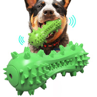 Green Squeak Dog Toothbrush