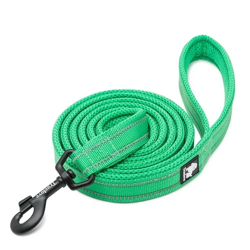  Reflective Pet Leash 2m - Green, M